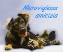 MERAVIGLIOSA AMICIZIA